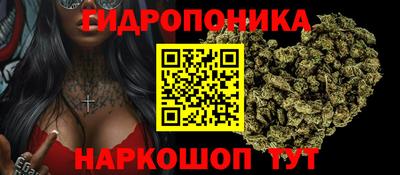 эйфоретик Канаш