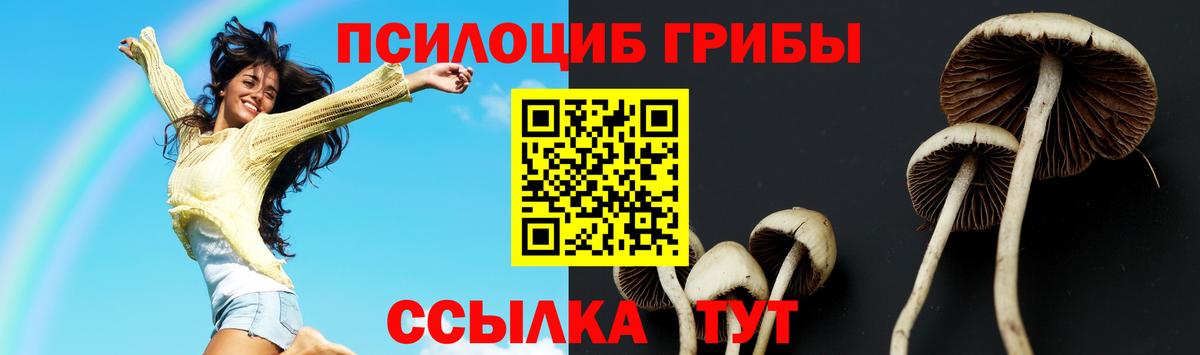 Краснокаменск  где найти наркотики  Вход с VPN  Псилоцибиновые грибы Psilocybe  Псилоцибиновые грибы мухоморы 